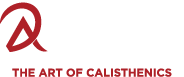 light logo